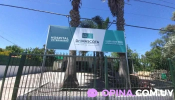 Emergencia Veterinaria Dr. Mascota - 15005 Ciudad De La Costa