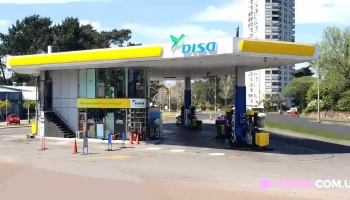 Empanadas 100% Artesanal Maldonado - Maldonado Empanadas 100% Artesanal Maldonado - Maldonado