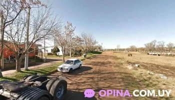 Encanto de mujer - Francisco Acuña De Figueroa