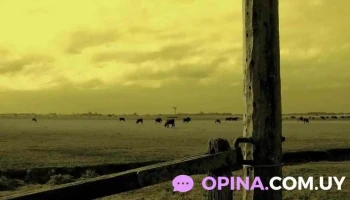 Escritorio Maldonado - Tala Escritorio Maldonado - Tala