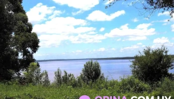 Escuela 102 - Departamento De Paysandú