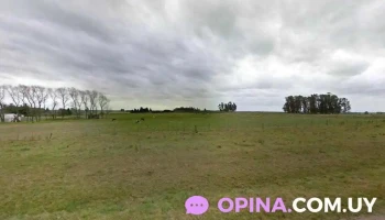 Escuela 104 - Libertad