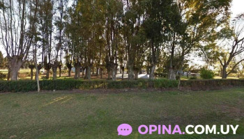 Escuela 15 - Dolores