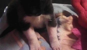 Escuela 45, Tiempo Completo - Las Piedras