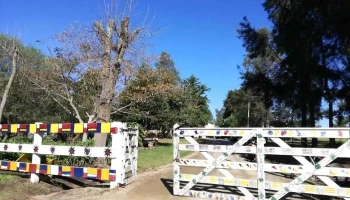 Escuela 78 de Tiempo Extendido - Ecilda Paullier