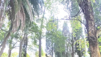 Escuela Agraria Melo (utu) - Melo