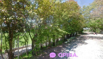 Escuela Cardal. - Cardal