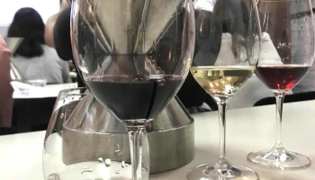 Escuela de Sommeliers Punta del Este - Punta Del Este