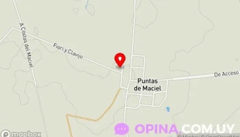 Escuela Justina Santín 29 - Sarandí Grande