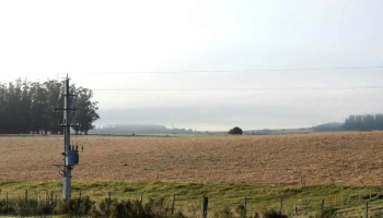 Escuela Nro 82 El Canelón - Sauce