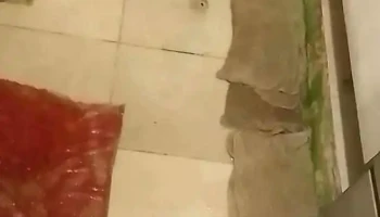 Escuela N° 326 Tiempo Completo - Montevideo Escuela N° 326 Tiempo Completo - Montevideo