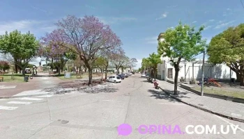 Escuela N° 33 Corralito - Dolores