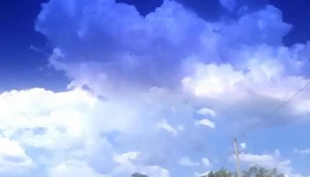 Escuela N° 54 Miguel Aguerre Aristegui - Rivera