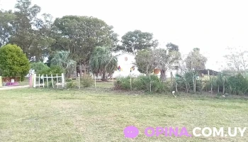 Escuela N° 60, Canelones - Tala Escuela N° 60, Canelones - Tala