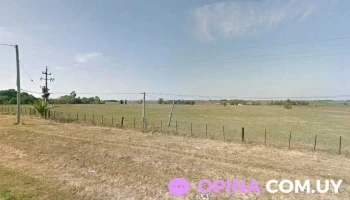 Escuela N°69 - San Ramón