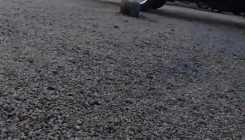 Escuela N°96 - Maldonado