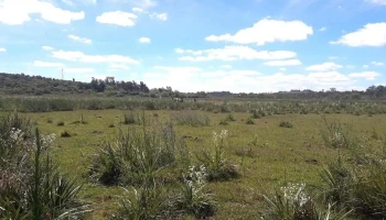 Escuela Nº 139 - Rivera