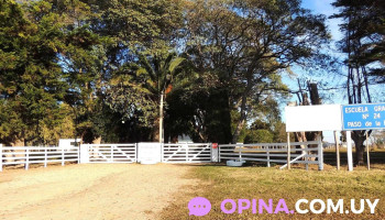 Escuela Nº24 Paso de la Paja - El Quijote