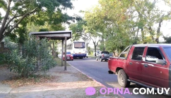 Escuela Nº82 Juana De Ibarbourou - Punta Del Este