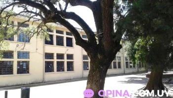 Escuela Pública Nº 102 y 195 - Montevideo