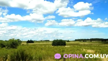 Escuela Rural N°17 - Sauce