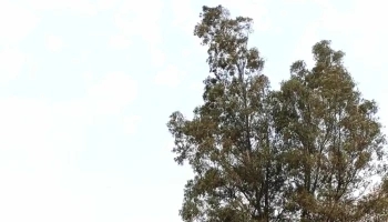 Escuela Técnica Km 16 