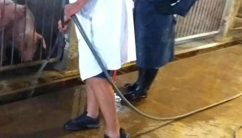 Estacion cuarentena - Guatambú