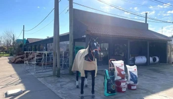 Estacion Ganadera - Gral. Aparicio 37