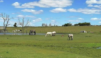 Estadio Unión Miguense - 91700 Migues