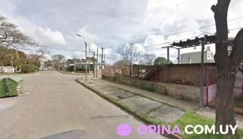 Estetica Canina - Departamento De Montevideo