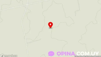 Estilo Animal - Uruguay Estilo Animal - Uruguay