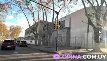 Estilo Unisex - Larravide