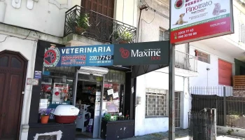 Exclusivo para Perros y Gatos - 11700 Montevideo