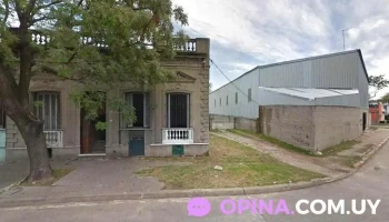 Famoso - 11800 Montevideo