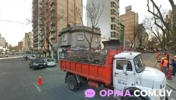 Fantasy - 11200 Montevideo