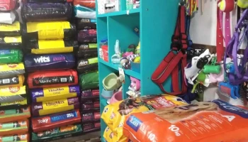 Felibel Mascotas - 11900 Montevideo