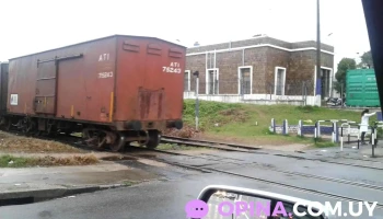 Fénix Fútbol 5 - 11700 Montevideo Fénix Fútbol 5 - 11700 Montevideo