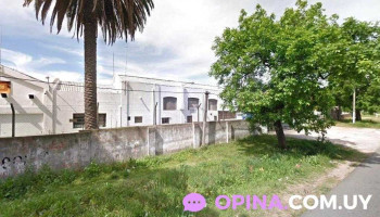 Fini - 12900 Montevideo