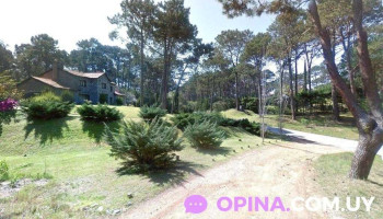 Fisiopunta - Fisioterapia en Maldonado - Maldonado Fisiopunta - Fisioterapia en Maldonado - Maldonado