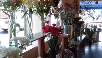 Floreria La Capilla - 20000 Maldonado