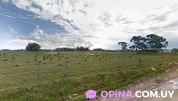 Foca - Rio Branco Foca - Rio Branco