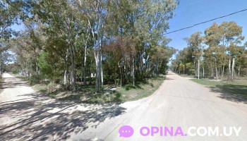 Fonoaudióloga Lic. Araceli Feruglio - Departamento De Canelones Fonoaudióloga Lic. Araceli Feruglio - Departamento De Canelones