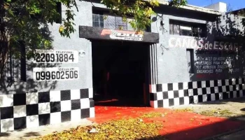 Freda Escapes - 11800 Montevideo