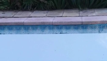 Frigorífico Carlos Schneck - 12400 Montevideo Frigorífico Carlos Schneck - 12400 Montevideo