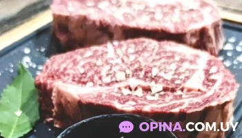 Frigorífico Frigoyi - 97000 Santa Bernardina Frigorífico Frigoyi - 97000 Santa Bernardina