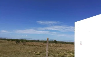 Frigorífico Paso de los Toros (Bamidal S.a.) - 45100 Paso De Los Toros
