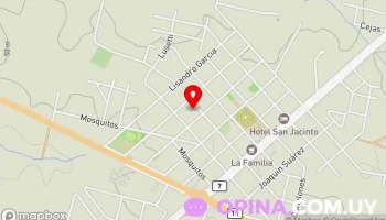 Frutería Mi Paloma - José Batlle Y Ordoñez