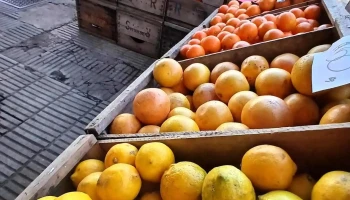 Frutería y verduleria garzon - 55000 Artigas