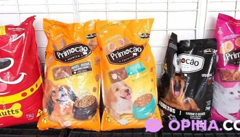 Gabimaxi Srl - 12000 Montevideo