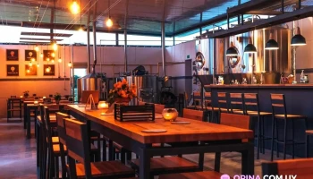 Galia Brewing Co - Carmelo